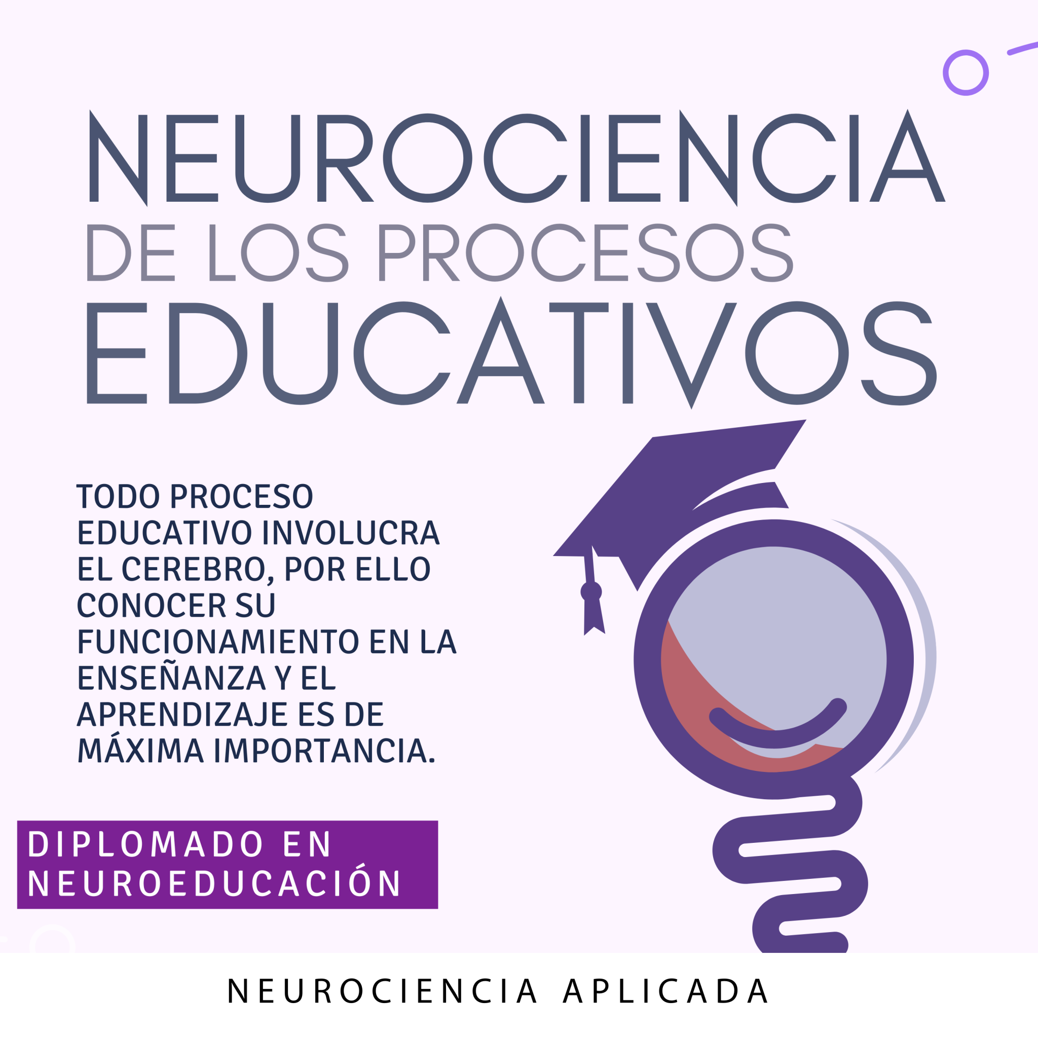 Procesos Educativos - Neuroeducación