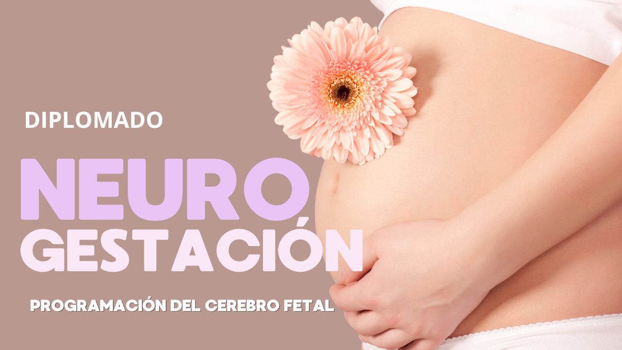 NEUROGESTACIÓN