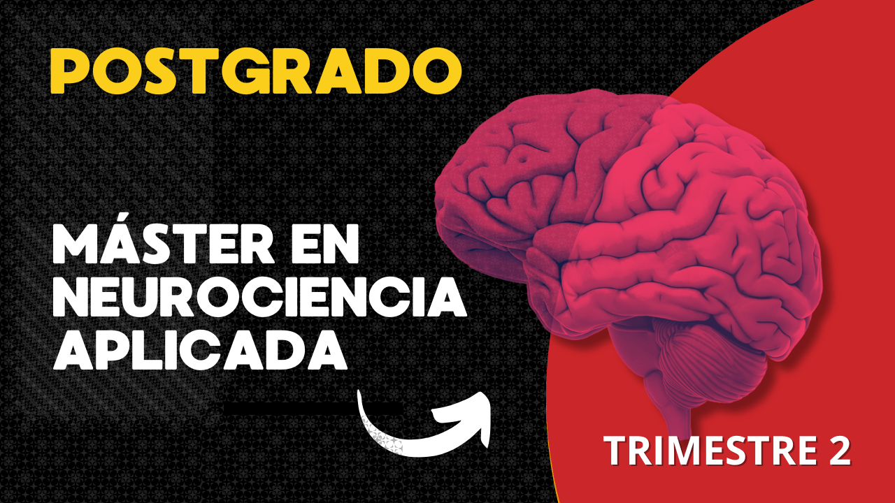 MANEJO ASERTIVO DEL ESTRÉS EN LA ENSEÑANZA