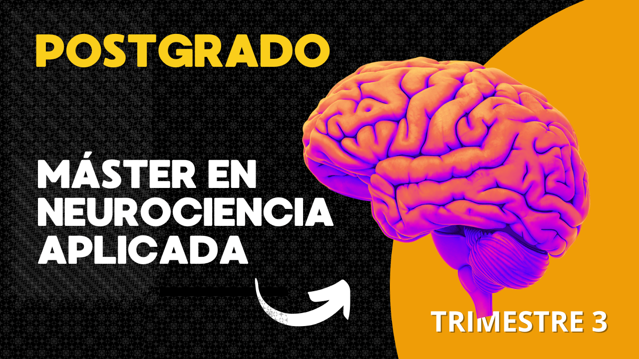 MATERIA: LENGUAJE DE LA NEUROCIENCIA 1 / POSTGRADO NEUROCIENCIA APLICADA . T3