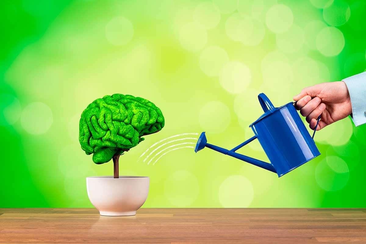 MASTER CLASS: INTELIGENCIA EMOCIONAL – SECUESTRO AMIGDALINO